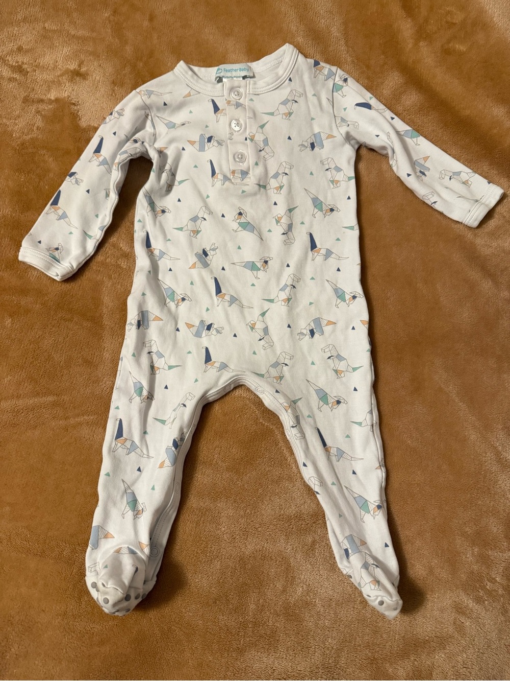 Feather Baby Origami Dinosaur Print